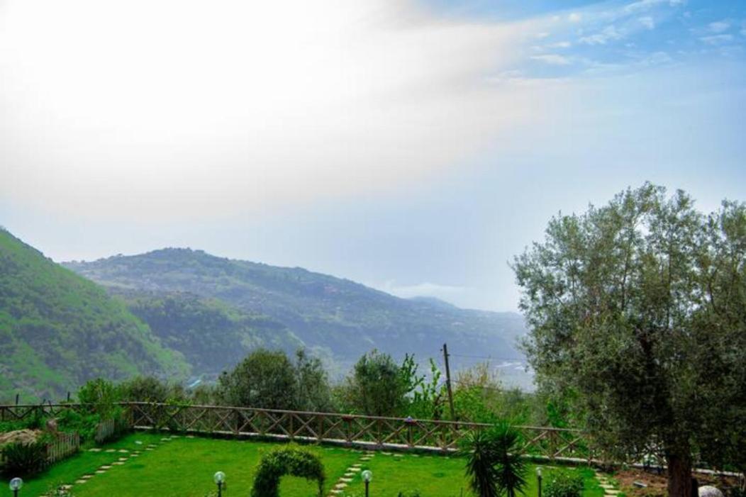 Villa Aurora Oasi Verde Sorrento Kültér fotó