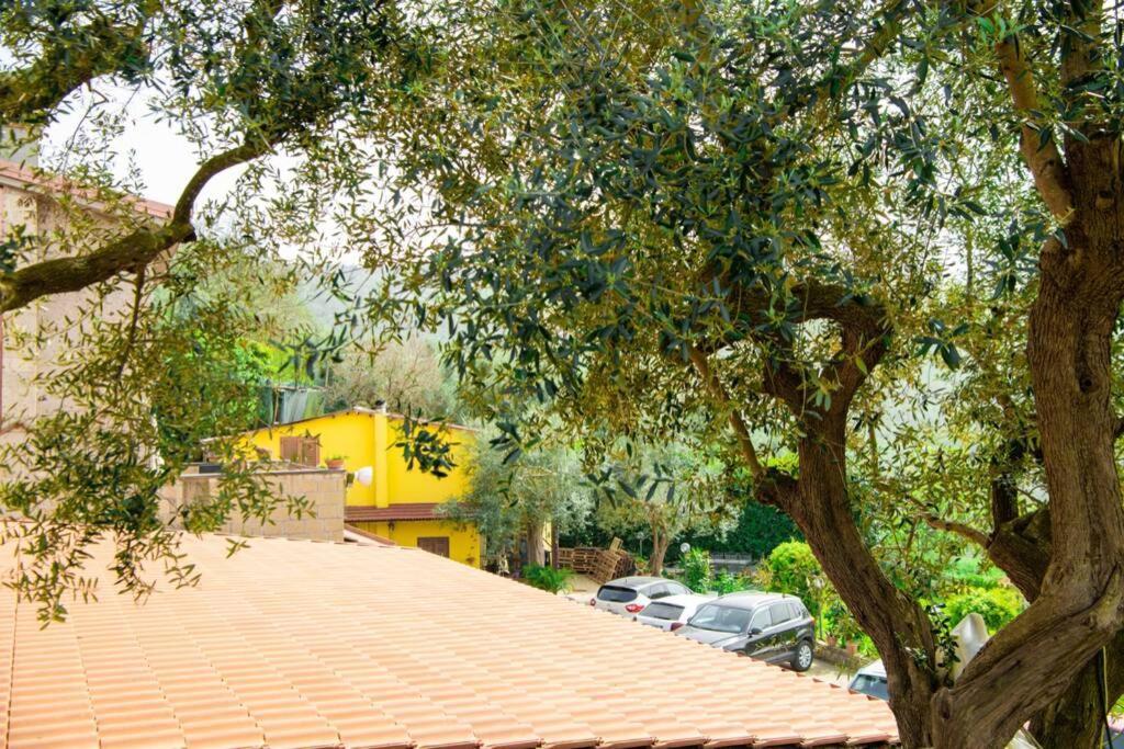 Villa Aurora Oasi Verde Sorrento Kültér fotó